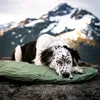 nature_animals_health