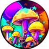 fungifever3