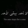 user434048766503