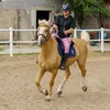olenska.eq