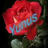 yunus.darvesh