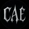 206.cae