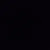 lilly_p.12