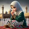 prsmeenat