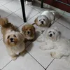 naylamumulunamickey
