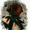 ghofren.com