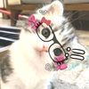 itzzme_alice13