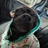 pepo_2869