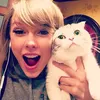 manuswifts