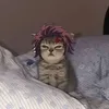 lmnguynkhnh