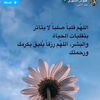 um.anas.saad