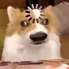 whynot_t8sadboy