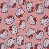leilany_02_09_13