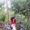 seranzi