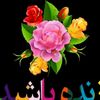 s1a2m3i4m51234
