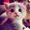 its.your_ana