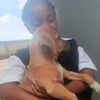 solanathe_doggy