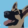 dallasthegermanshepherd1
