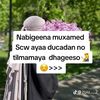 boqortooyo3688