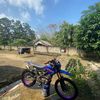 lerr_197