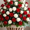 user7190992180114