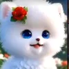 naw_2026