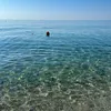 rosa_scia568