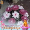 hoang.nguyen097