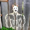 shadowbruno0