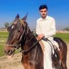 shahzadkhan4640