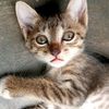 ya.gatau20