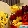 www.tiktok.comsemsiyyeg