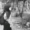 nzla_sukanajib