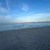 defonotellaxxx1