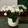 duong.nguyn2
