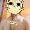 sirspens