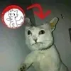 fogo.a.todos77
