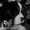 gablove013