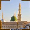 shazia.naveed14