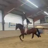 Juju