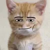 djehrjrjehehrhr
