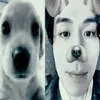 pr3tty_wookk_