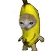 bananacat255