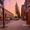 updimalik62