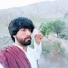 shahabuddinshah333
