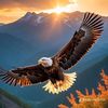 abdu.sattar20