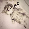 its_meeg2