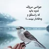 chray.zheyan