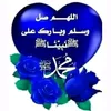 user8014795656619