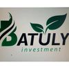 batuly_investment